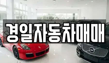 경북 구미시 거의동 중고차 전문 경일자동차매매
