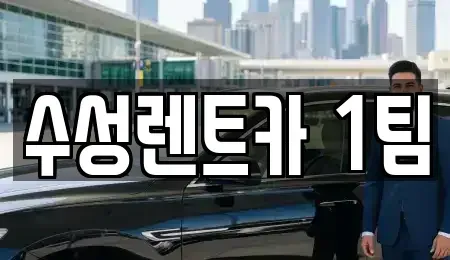 경북 구미시 양호동 렌트카 전문 수성렌트카 1팀