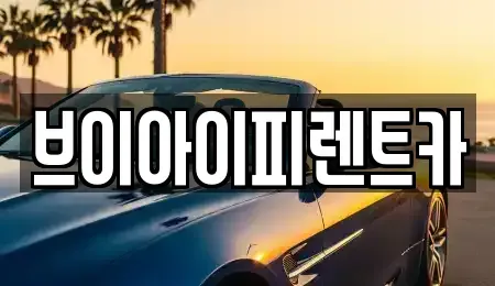 경북 구미시 양호동 장기렌트카 전문 브이아이피렌트카