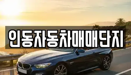 경북 구미시 중고차 전문 인동자동차매매단지