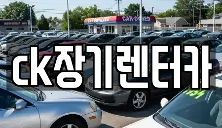 경북 김천시 삼락동 렌트카 전문 ck장기렌터카