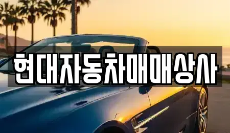 경북 김천시 삼락동 중고차 전문 현대자동차매매상사