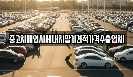 경북 상주시 개운동 중고차매매 전문 중고차매입시세내차팔기견적가격수출업체