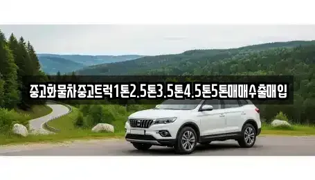 경북 상주시 개운동 중고차매입 전문 중고화물차중고트럭1톤2.5톤3.5톤4.5톤5톤매매수출매입
