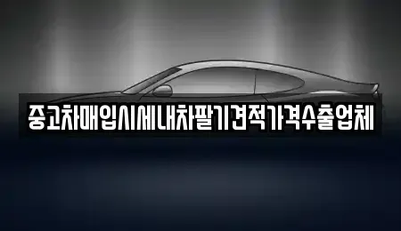 경북 상주시 신봉동 중고차 전문 중고차매입시세내차팔기견적가격수출업체