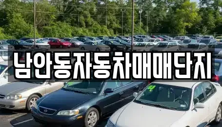 경북 안동시 정하동 중고차,렌트카,중고차매입,중고차매매,장기렌트카,단기렌트카
