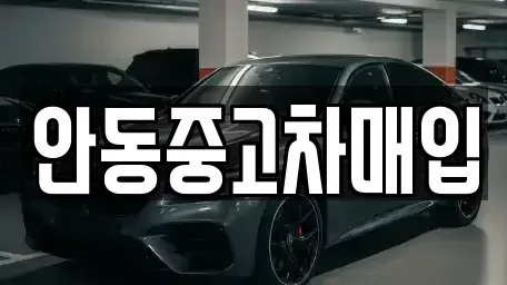 경북 안동시 정하동 중고차 전문 안동중고차매입
