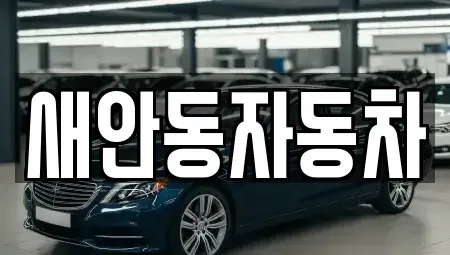 경북 안동시 풍산읍 중고차매매 전문 새안동자동차