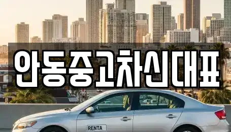 경북 안동시 풍산읍 중고차매매 전문 안동중고차신대표