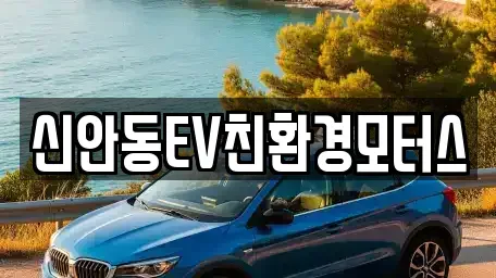 경북 안동시 풍산읍 중고차매입 전문 신안동EV친환경모터스