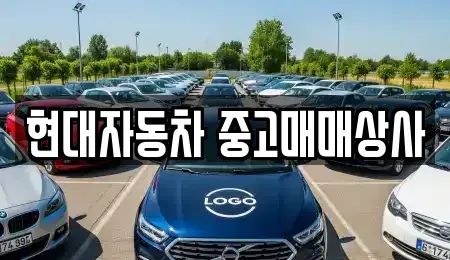 경북 영천시 서산동 중고차매매 전문 현대자동차 중고매매상사