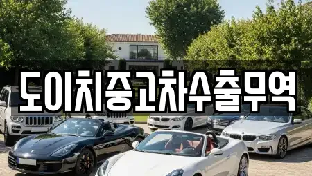 경북 영천시 신기동 중고차 전문 도이치중고차수출무역
