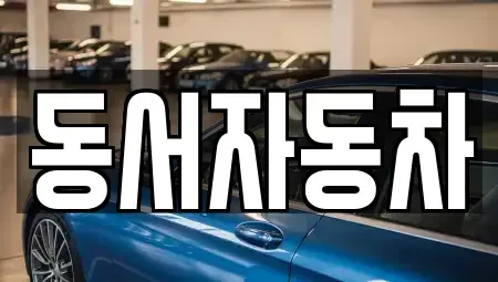 경북 영천시 신기동 중고차 전문 동서자동차