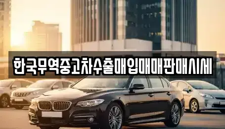 경북 영천시 신기동 중고차매입 전문 한국무역중고차수출매입매매판매시세