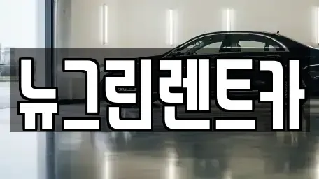 경북 칠곡군 왜관읍 렌트카 전문 뉴그린렌트카