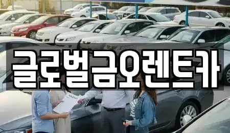 경북 포항시 북구 창포동 렌트카 전문 글로벌금오렌트카