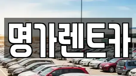 경북 포항시 북구 창포동 렌트카 전문 명가렌트카