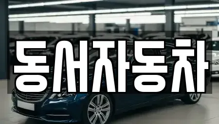 경북 포항시 북구 창포동 중고차 전문 동서자동차