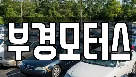 경상남도 김해시 생림면 중고차매매 전문 부경모터스