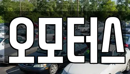 경상남도 김해시 생림면 중고차매매 전문 오모터스