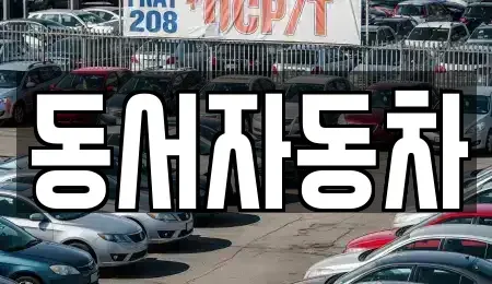 경상남도 남해군 상주면 중고차 전문 동서자동차