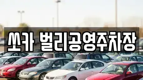 경상남도 사천시 죽림동 렌트카 전문 쏘카 벌리공영주차장