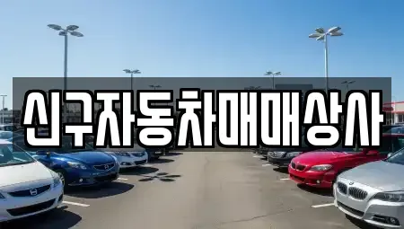 경상남도 사천시 죽림동 중고차 전문 신구자동차매매상사