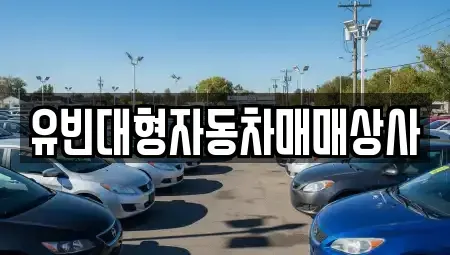 경상남도 중고차 전문 유빈대형자동차매매상사