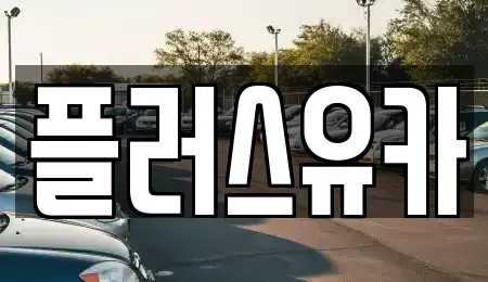 경상남도 중고차매입 전문 플러스유카