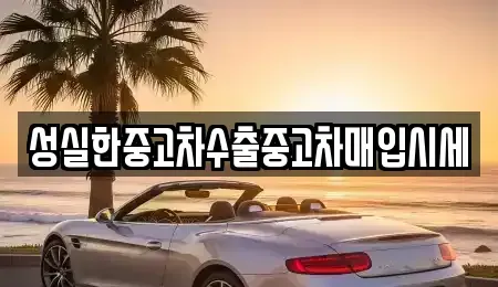 경상남도 진주시 봉래동 중고차 전문 성실한중고차수출중고차매입시세