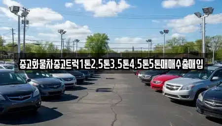 경상남도 창원시 성산구 가음정동 중고차 전문 중고화물차중고트럭1톤2.5톤3.5톤4.5톤5톤매매수출매입