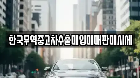 경상남도 창원시 성산구 가음정동 중고차 전문 한국무역중고차수출매입매매판매시세