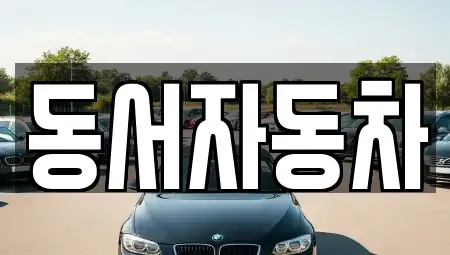 경상남도 창원시 의창구 덕정동 중고차 전문 동서자동차