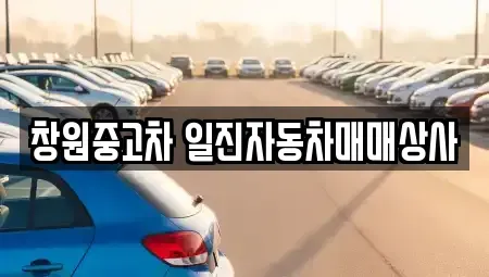 경상남도 창원시 의창구 덕정동 중고차매매 전문 창원중고차 일진자동차매매상사