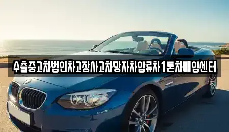 경상남도 창원시 의창구 덕정동 중고차매입 전문 수출중고차법인차고장사고차망자차압류차1톤차매입센터