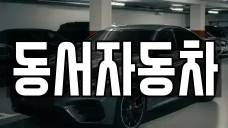 경상남도 창원시 의창구 북동 중고차 전문 동서자동차