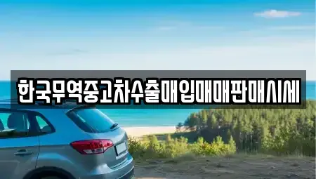경상남도 합천군 중고차매입 전문 한국무역중고차수출매입매매판매시세