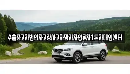 경상북도 경산시 사동 중고차매매 전문 수출중고차법인차고장사고차망자차압류차1톤차매입센터
