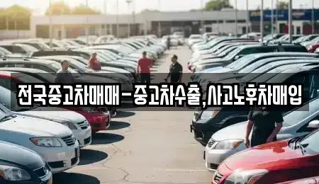 경상북도 경산시 사동 중고차매매 전문 전국중고차매매-중고차수출,사고노후차매입