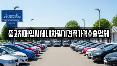 경상북도 경산시 사동 중고차매매,단기렌트카,중고차매입,장기렌트카,중고차,렌트카
