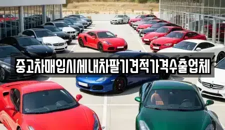 경상북도 경주시 북부동 중고차매입 전문 중고차매입시세내차팔기견적가격수출업체