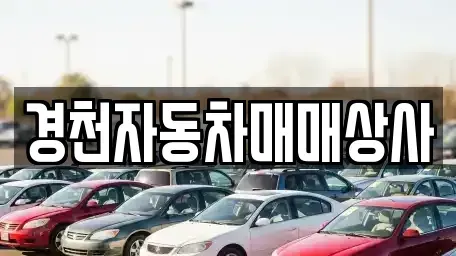 경상북도 경주시 현곡면 중고차매매 전문 경천자동차매매상사