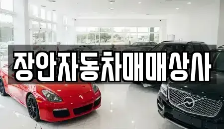 경상북도 경주시 현곡면 중고차매매 전문 장안자동차매매상사