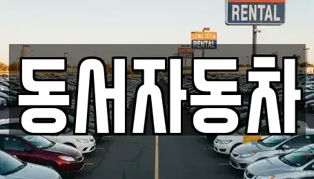 경상북도 고령군 다산면 중고차 전문 동서자동차