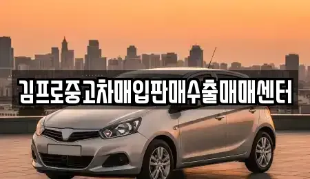 경상북도 고령군 다산면 중고차매입 전문 김프로중고차매입판매수출매매센터