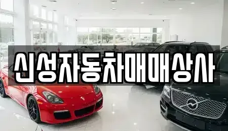 경상북도 김천시 감호동 중고차 전문 신성자동차매매상사