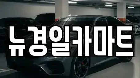 경상북도 김천시 감호동 중고차매매 전문 뉴경일카마트
