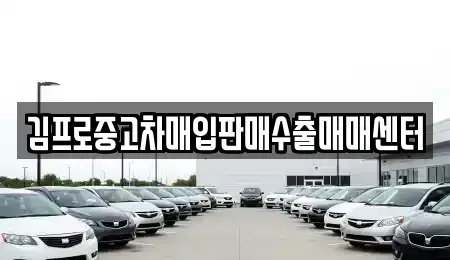경상북도 김천시 감호동 중고차매입 전문 김프로중고차매입판매수출매매센터