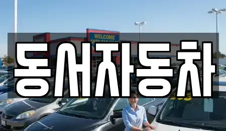 경상북도 상주시 성동동 중고차매매 전문 동서자동차