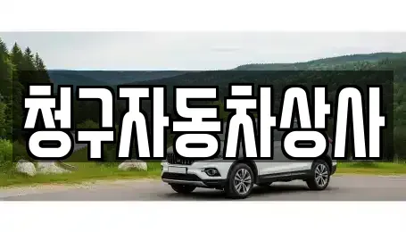 경상북도 상주시 성동동 중고차매매 전문 청구자동차상사